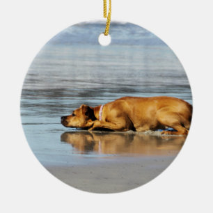 Rhodesian Ridgeback - Is the Water Cold? Ceramic Tree Decoration