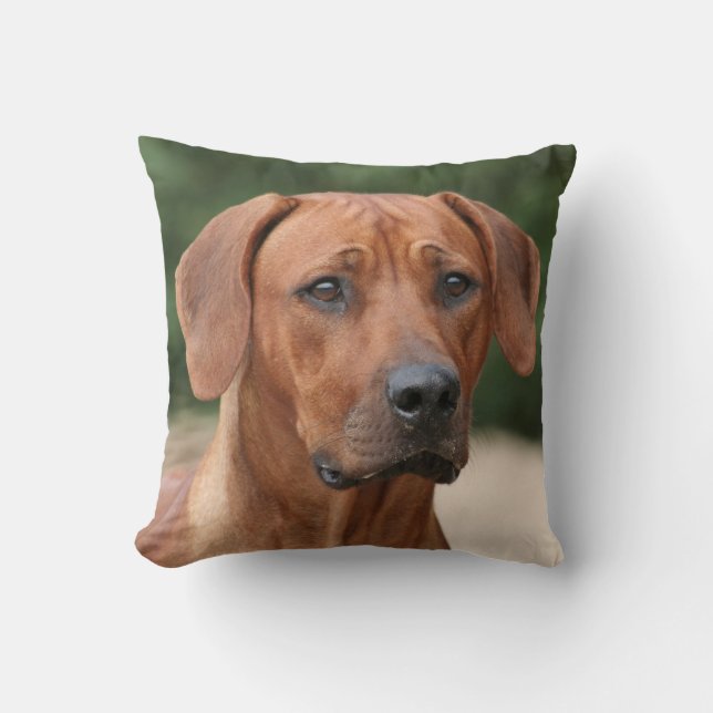 Rhodesian Ridgeback kiss Cushion (Front)