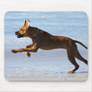 Rhodesian Ridgeback - Leap Mouse Pad