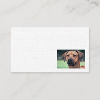 Rhodesian Ridgeback Linen business card