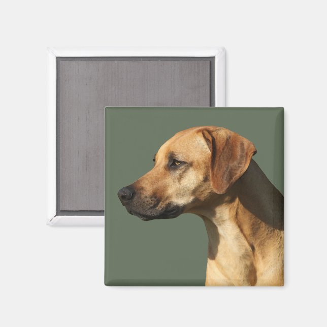 Rhodesian Ridgeback Magnet (Front/Back)