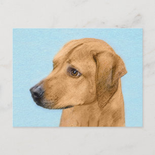 Rhodesian Ridgeback Painting - Original Dog Art Postcard