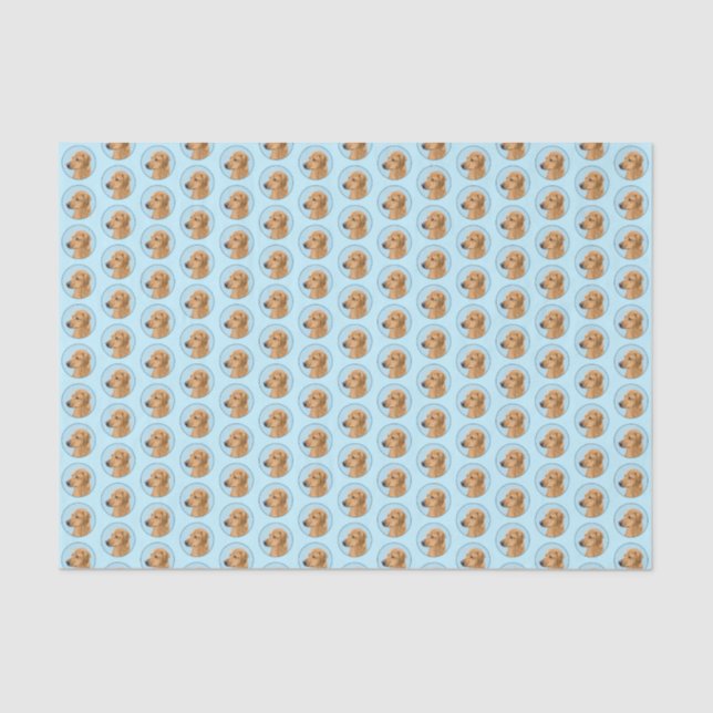 Rhodesian Ridgeback Painting - Original Dog Art Tissue Paper (Front)
