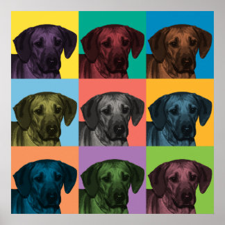 Rhodesian Ridgeback Pop Art Poster