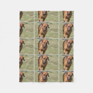 Rhodesian Ridgeback Prancing Fleece Blanket
