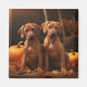 Rhodesian Ridgeback Puppy Autumn Delight Pumpkin  Magnet
