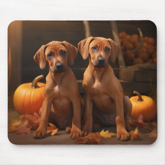 Rhodesian Ridgeback Puppy Autumn Delight Pumpkin  Mouse Pad (Front)