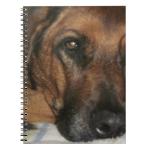 Rhodesian Ridgeback Spiral Notebook
