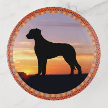 Rhodesian Ridgeback Sunset Silhouette