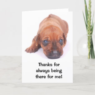 Rhodesian Ridgeback THANK YOU Greeting Card