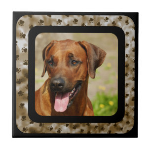 RHODESIAN RIDGEBACK TILE