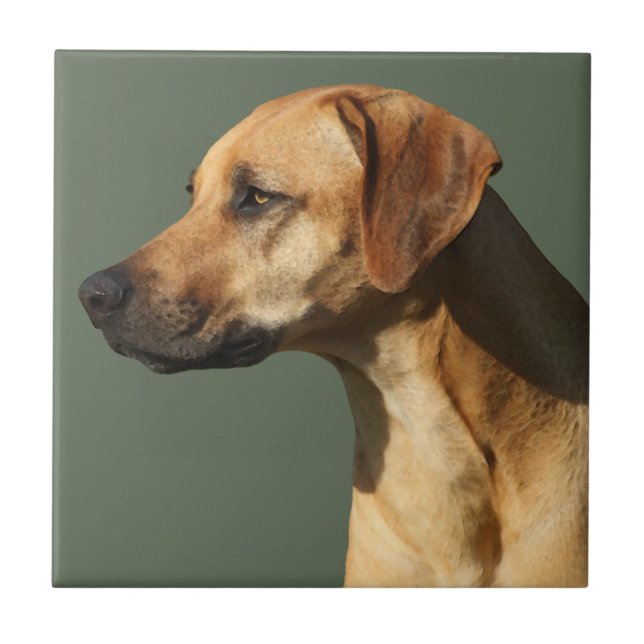 Rhodesian Ridgeback Tile (Front)