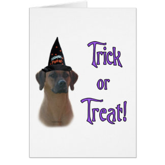 Rhodesian Ridgeback Trick
