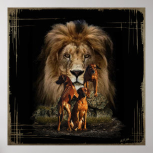 Rhodesian Ridgeback with Lion    Poster