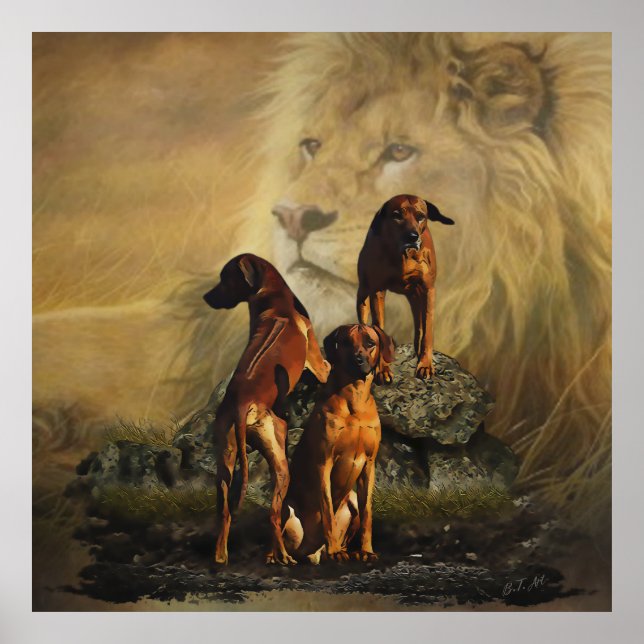 Rhodesian Ridgeback with Lion    Poster (Front)