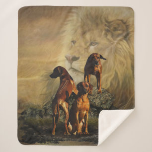 Rhodesian Ridgeback with Lion Sherpa Blanket
