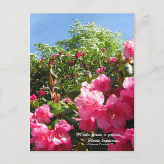 Rhododendron and Dogwood with Chinese Proverb Postcard