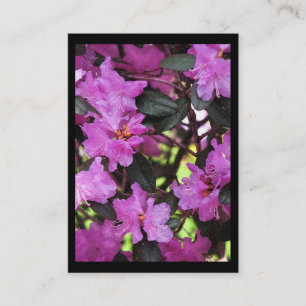 Rhododendron ATC Business Card