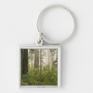 Rhododendron blooming among the Coast Redwoods / Key Ring