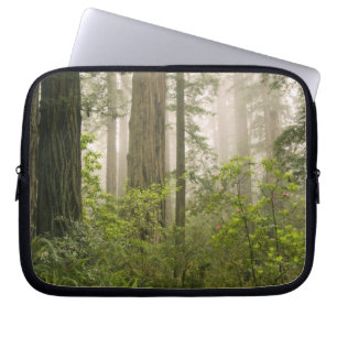 Rhododendron blooming among the Coast Redwoods / Laptop Sleeve