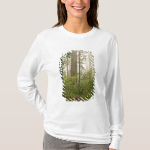 Rhododendron blooming among the Coast Redwoods / T-Shirt