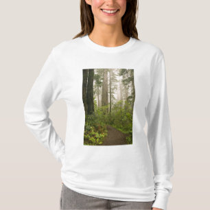 Rhododendron blooming among the Coast Redwoods / T-Shirt