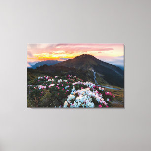 Rhododendron Blooming   Taroko National Park Canvas Print