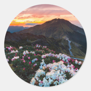 Rhododendron Blooming   Taroko National Park Classic Round Sticker