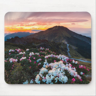 Rhododendron Blooming Taroko National Park Mouse Pad