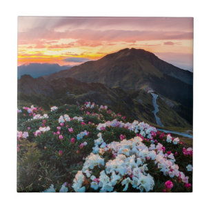 Rhododendron Blooming Taroko National Park Tile