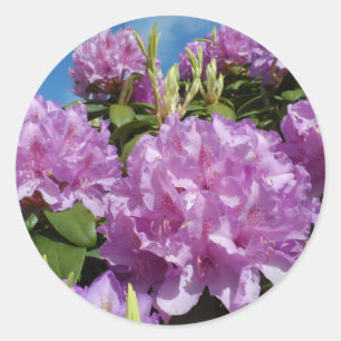 Rhododendron Classic Round Sticker