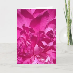Rhododendron Close-up Flower Plant Photo Card