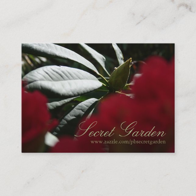 Rhododendron Floral Photography - Business Cards 3 (Front)