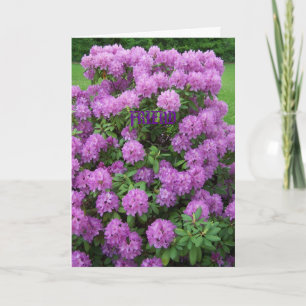 Rhododendron, Friend Card