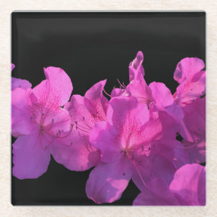 Rhododendron Glass Coaster