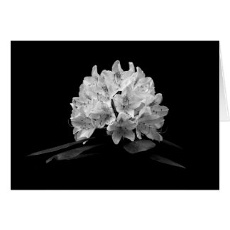 Rhododendron In Black And White Custom Blank