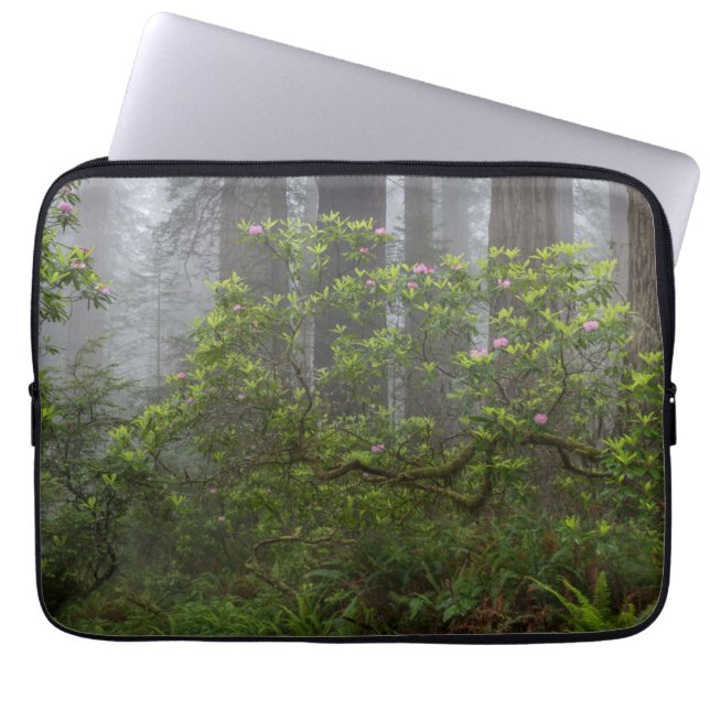 Rhododendron in Redwood National Park California Laptop Sleeve (Front)