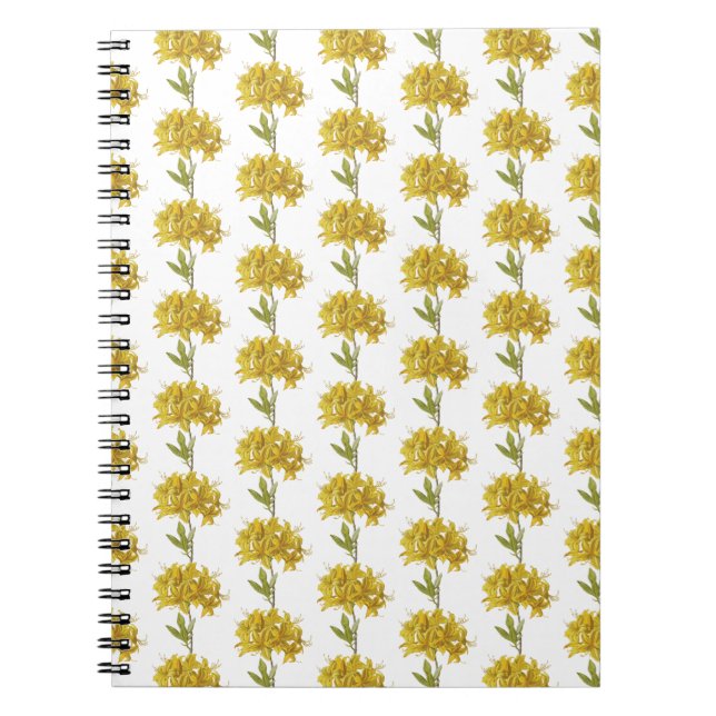 Rhododendron luteum (Pontic Azalea) Notebook (Front)