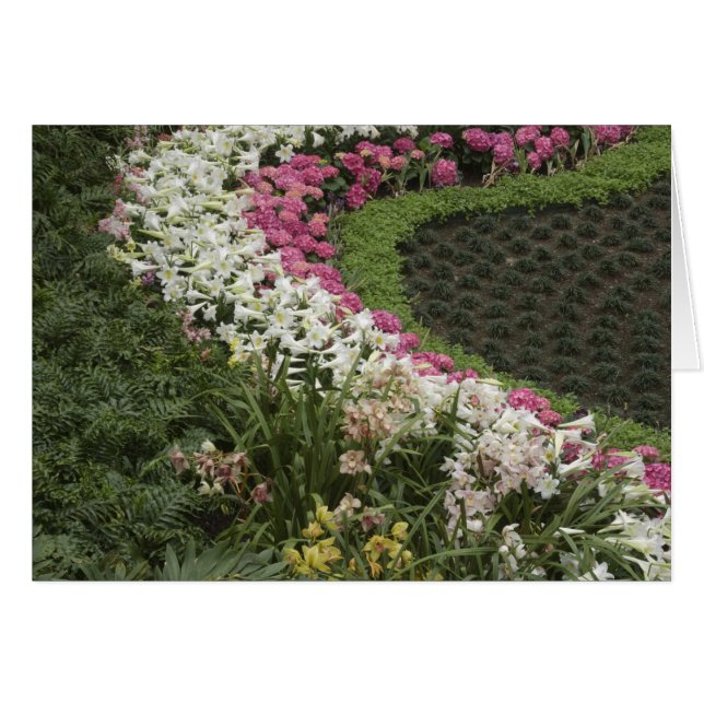 Rhododendron (Rhododendron catawbiense) Heath (Front Horizontal)