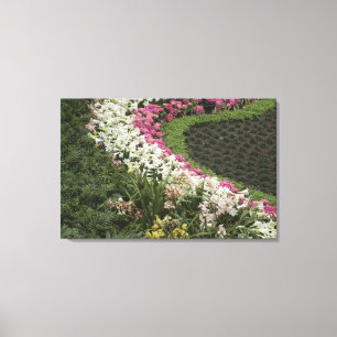 Rhododendron (Rhododendron catawbiense) Heath Canvas Print
