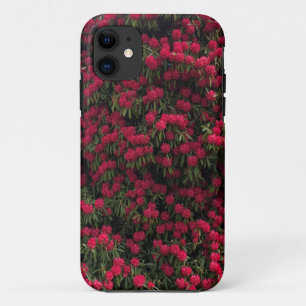 Rhododendron Shrub in Full Flower Case-Mate iPhone Case