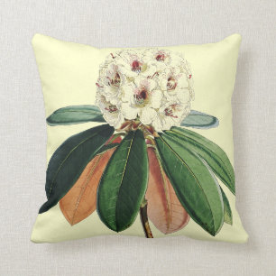 Rhododendron vintage botanical illustration cushion