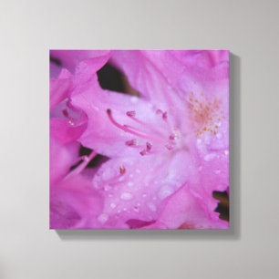 Rhododendron Wrapped Canvas