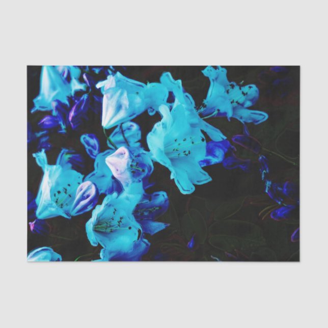 Rhododendrons in Blue, Floral, Blue Flowers Tissue Paper (Front)