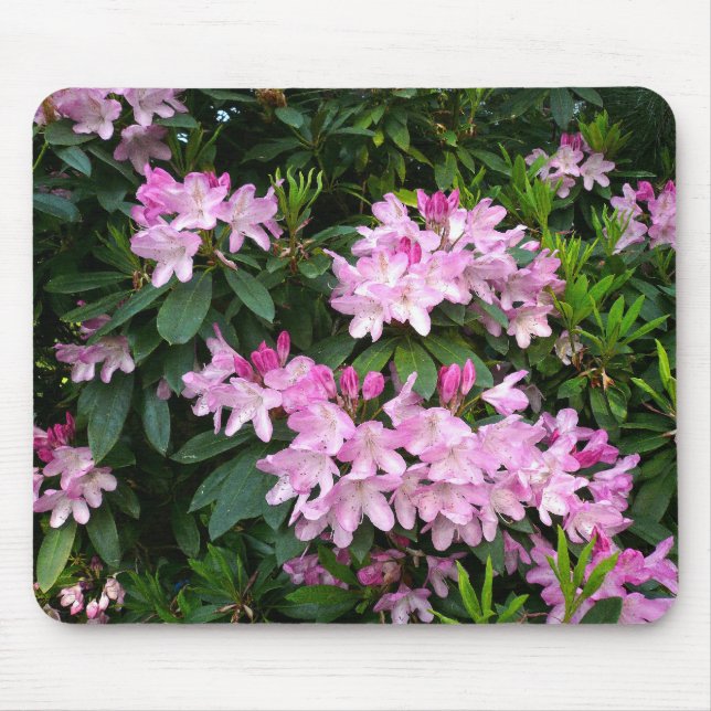 Rhododendrons IV Mouse Pad (Front)