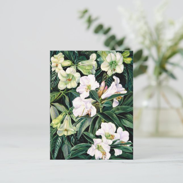 Rhododendrons of North India Postcard (Standing Front)
