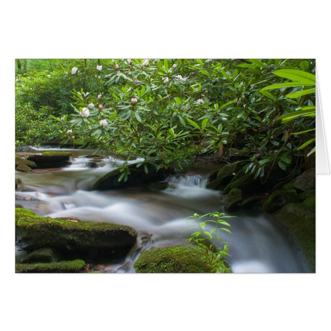 Rhododendrons on the Creek Card (Front Horizontal)