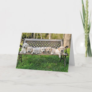Rhonda's Valour Litter Bench Photo Card