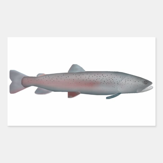 Rhône trout rectangular sticker (Front)