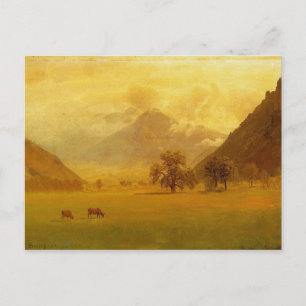 Rhone Valley Postcard